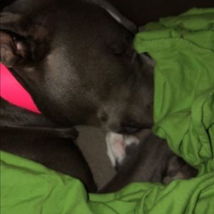 Meet your Posher, Beverly